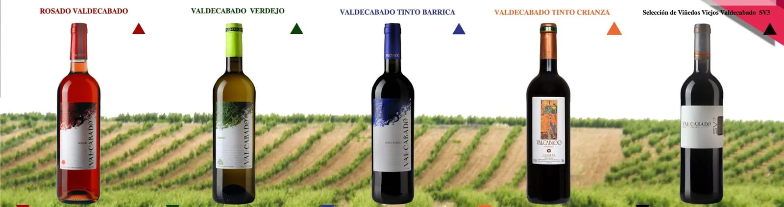 La gama de vinos Valdecabado sobre el viñedo